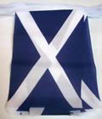 10ft ( 3metres) Scottish Bunting polyester
