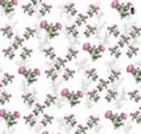 Thistle  wrapping paper